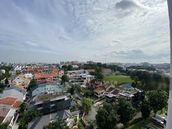 Blk 142 Lorong Ah Soo (Hougang), HDB 4 Rooms #313217431